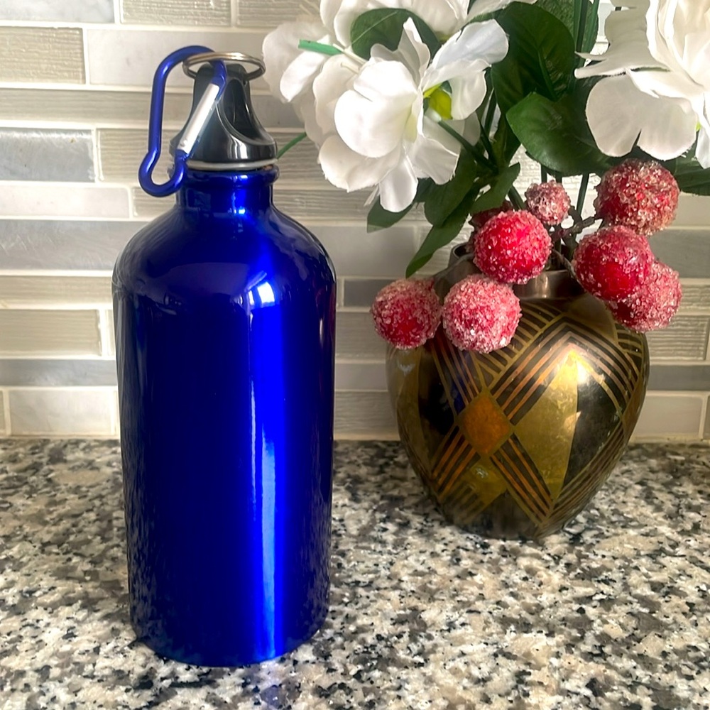 NWOT: Stainless Steel Metalic Blue Water Bottle 16.9 Fl oz